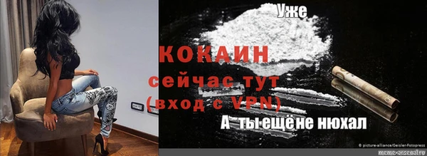 шишки Вязьма
