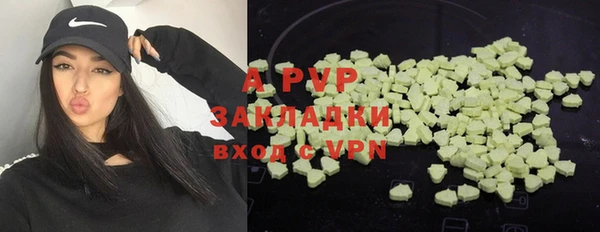 шишки Вязьма