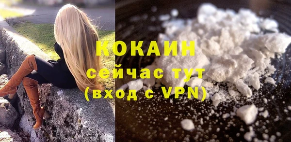 шишки Вязьма