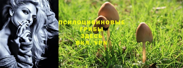 шишки Вязьма
