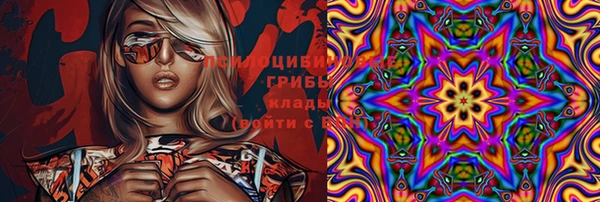марки lsd Вяземский