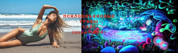 марки lsd Вяземский