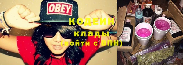 шишки Вязьма