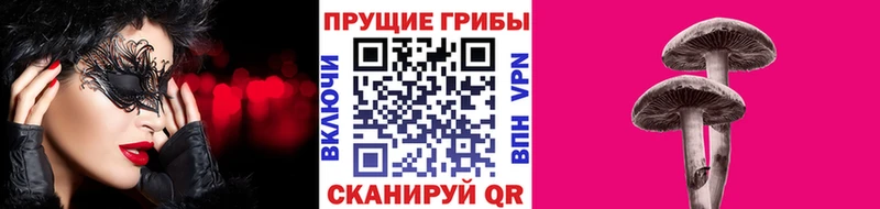 Галлюциногенные грибы GOLDEN TEACHER  Северодвинск 